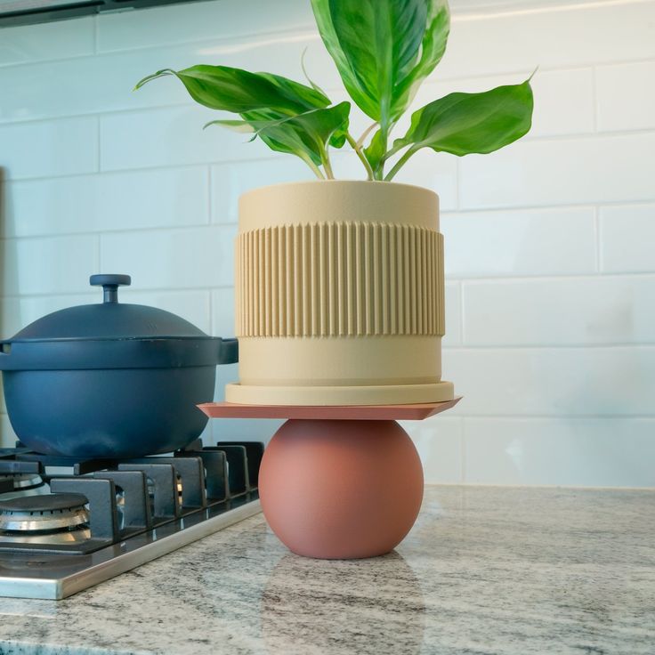 a potted plant sitting on top of a kitchen counter next to a stovetop