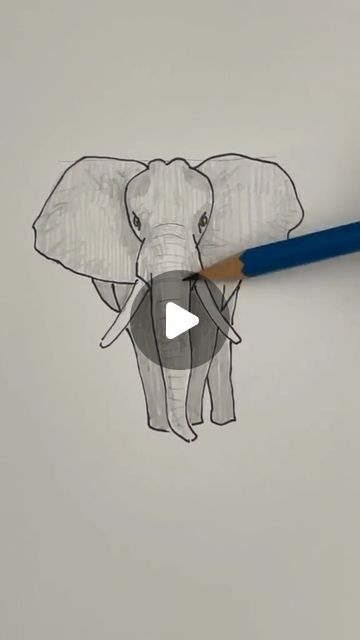 an elephant drawn on a piece of paper with a pencil