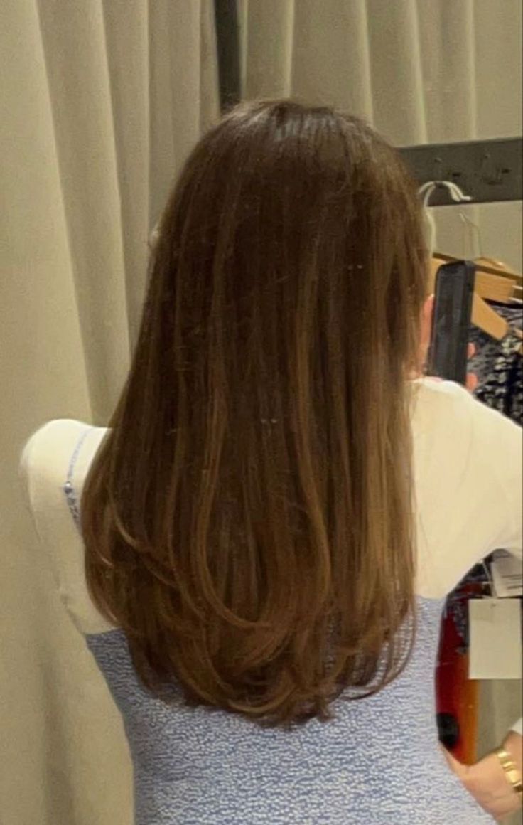 Hair Cuts Mid Length Straight, Medium Long Haircut Women, Long Blended Layers With Curtain Bangs, Haircut Inspiration Thick Hair, Haircuts Woman Long, Mild Layers Haircut, Long To Medium Length Haircut, Medium Length Haircut For Thick Hair Straight Brown, Subtle Layered Haircut