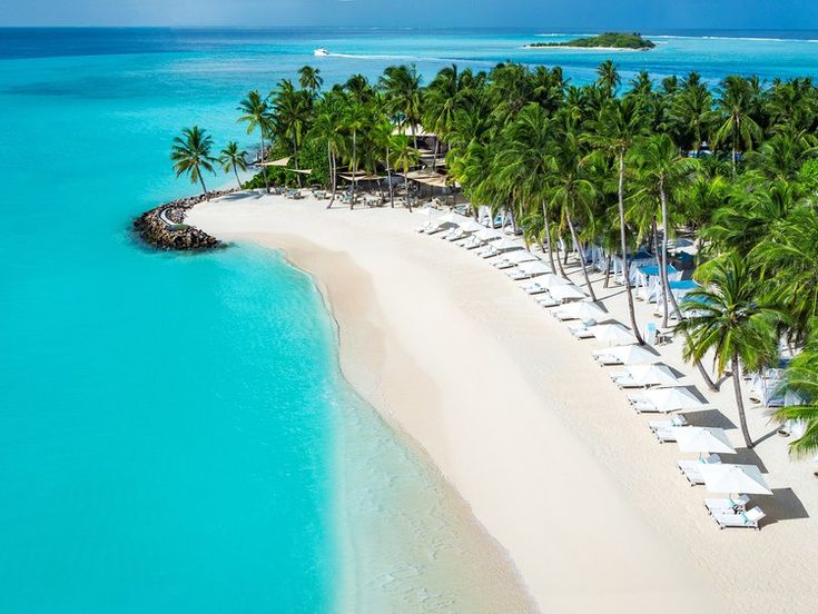 an aerial view of a tropical beach with palm trees and lounge chairs on the sand