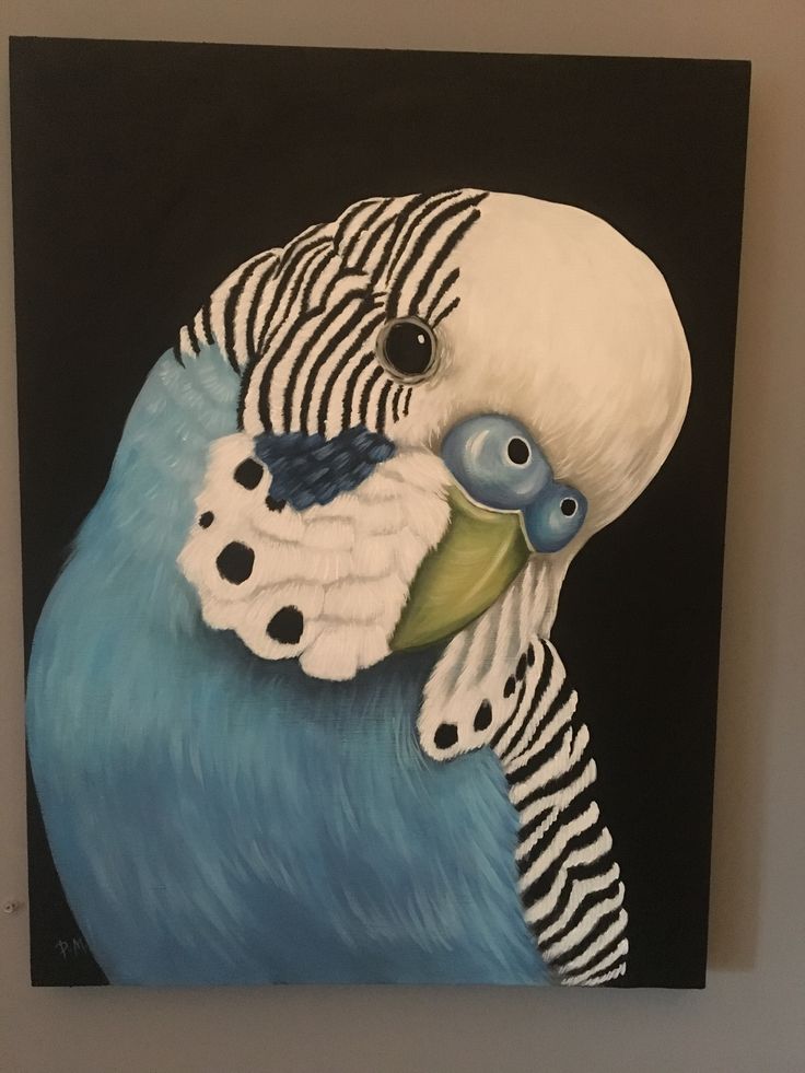 a painting of a blue parakeet with black and white stripes on it's head