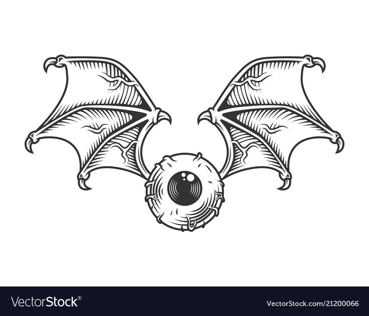 two bats with wings on white background - animals characters