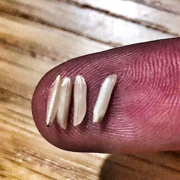 a close up of a person's finger with nails on it and one nail missing