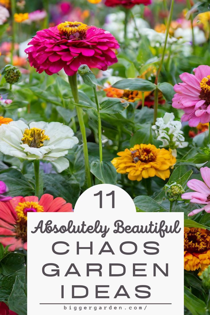 Embrace the disorder with this visual guide to chaos gardening. Get front garden inspo ideas, and eco-friendly front yard tips, and learn how to plan a garden that features wilding garden elements. Find low-budget garden ideas, magical garden ideas, and low-maintenance garden design options. Create a beautiful maintenance-free chaos garden. Sun Planting Scheme, Front Yard Raised Beds Curb Appeal, Large Garden Bed Ideas, Shade Garden Design Layout Front Yard, Low Maintenance Garden Ideas On A Budget, Front Yard Cut Flower Garden, Wildflower Garden Ideas Backyards, Flower Garden Front Yard, Wild Flower Yard