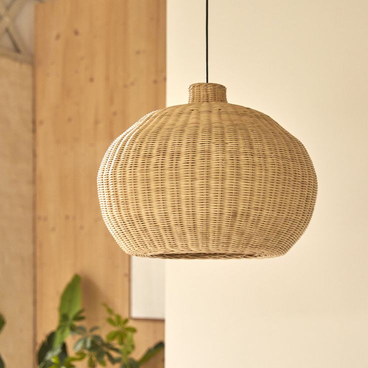 a wicker light hanging from a ceiling in a room with potted plants on the wall