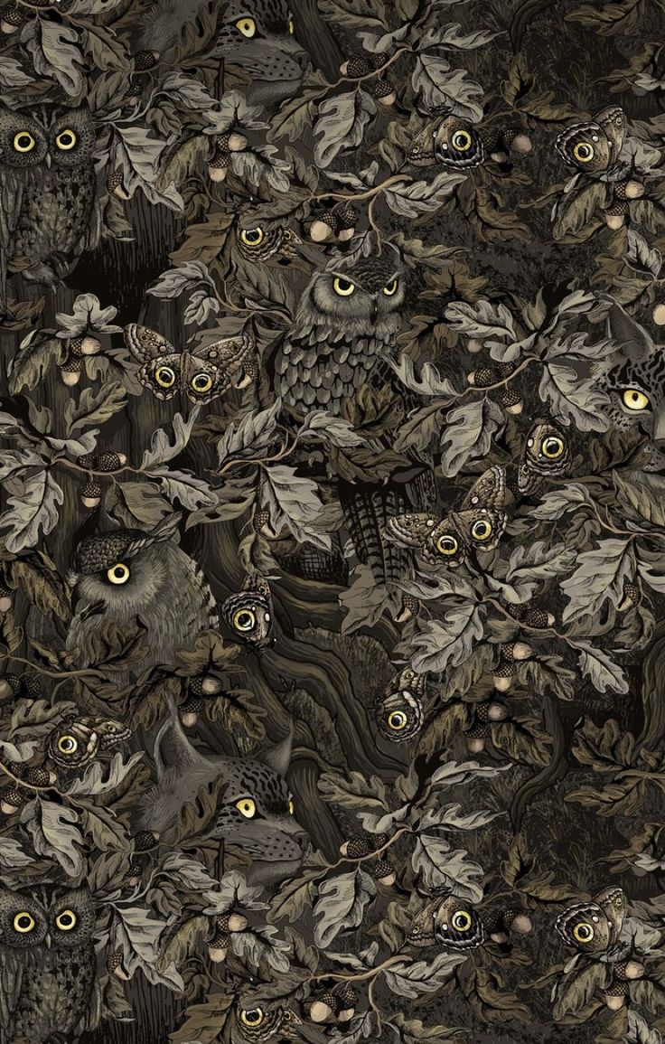 an image of many different owls in the woods with leaves and berries on them, all looking up