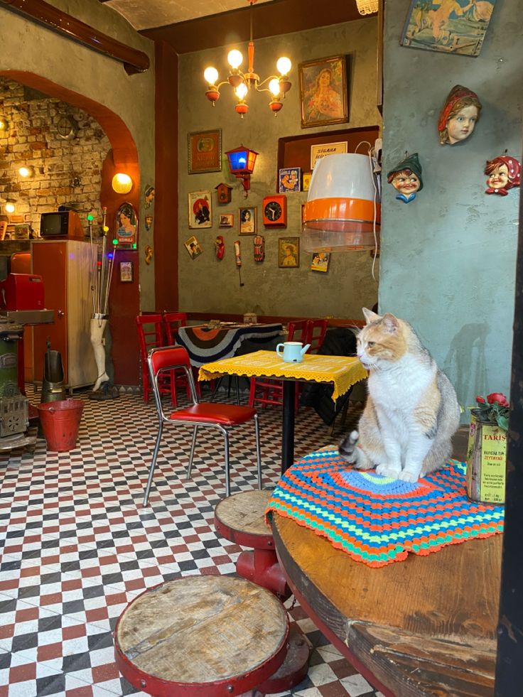 a cat sitting on top of a table in a room filled with tables and chairs