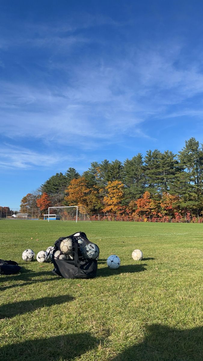 several soccer balls are laying on the grass