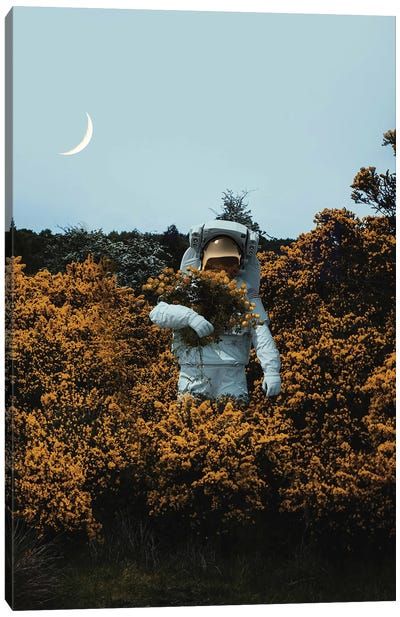 an astronaut standing in the middle of some bushes with a half moon behind him,