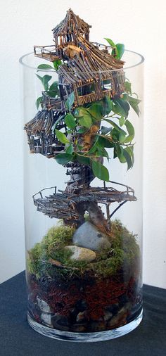 a bonsai tree in a glass container with rocks and plants