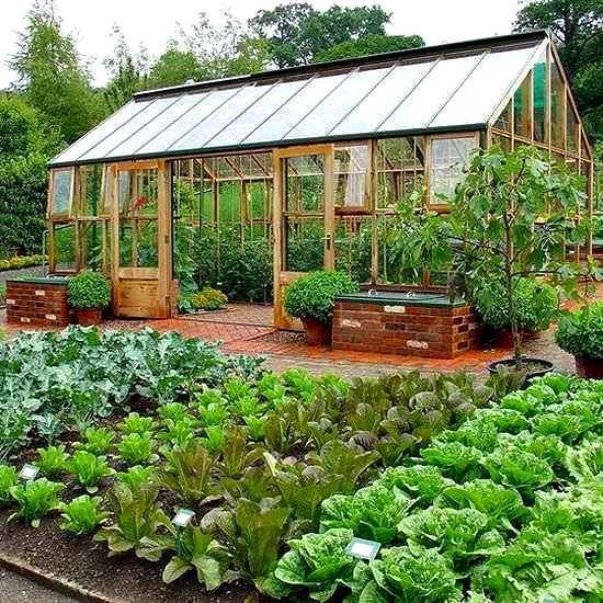 a garden filled with lots of green plants next to a small building and trees in the background