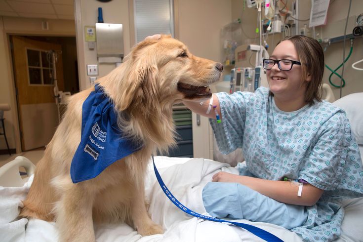 a woman sitting in a hospital bed petting a dog