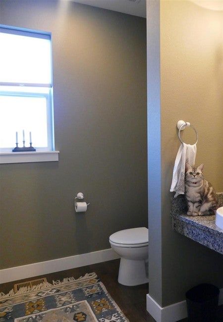 a cat sitting on the edge of a bathroom counter next to a toilet and sink