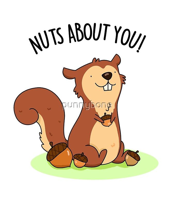 a cartoon squirrel with nuts about you written on it