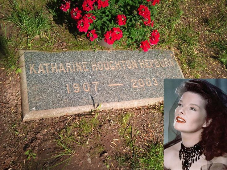 a headshot of a woman in front of a grave marker and red flowers on the ground