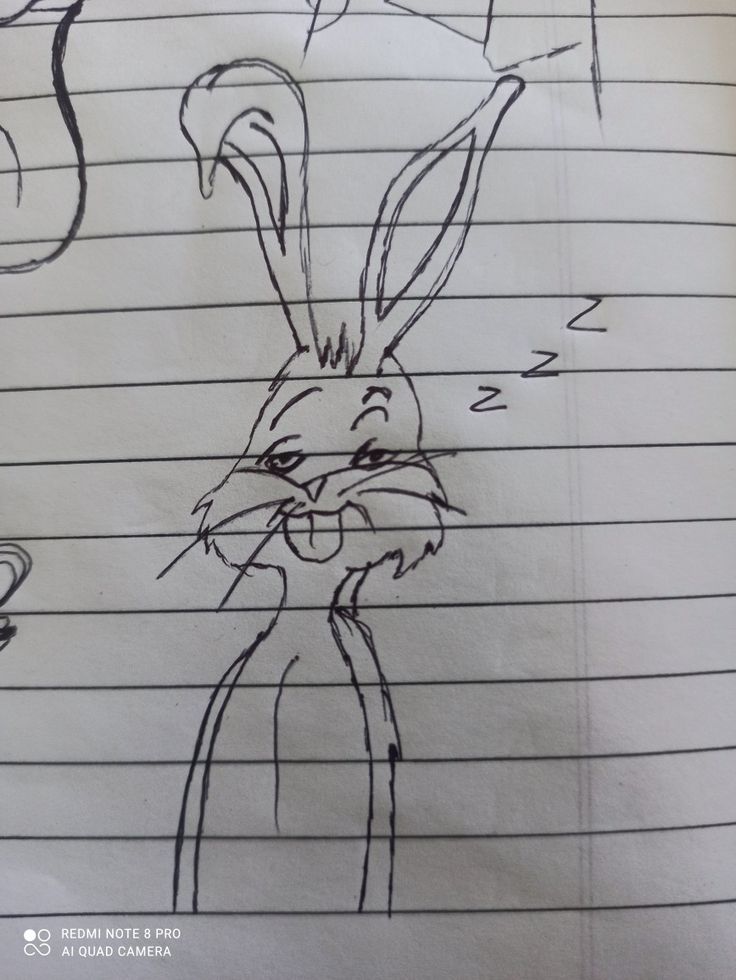 a drawing of a rabbit on a piece of paper with writing underneath it that says,