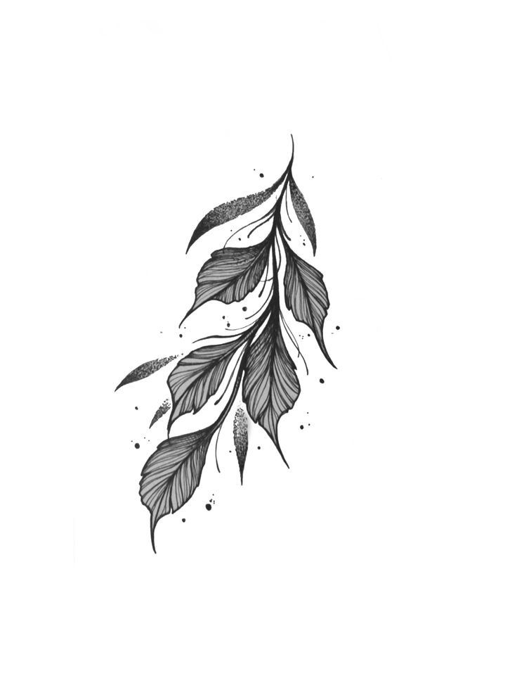 a black and white drawing of leaves