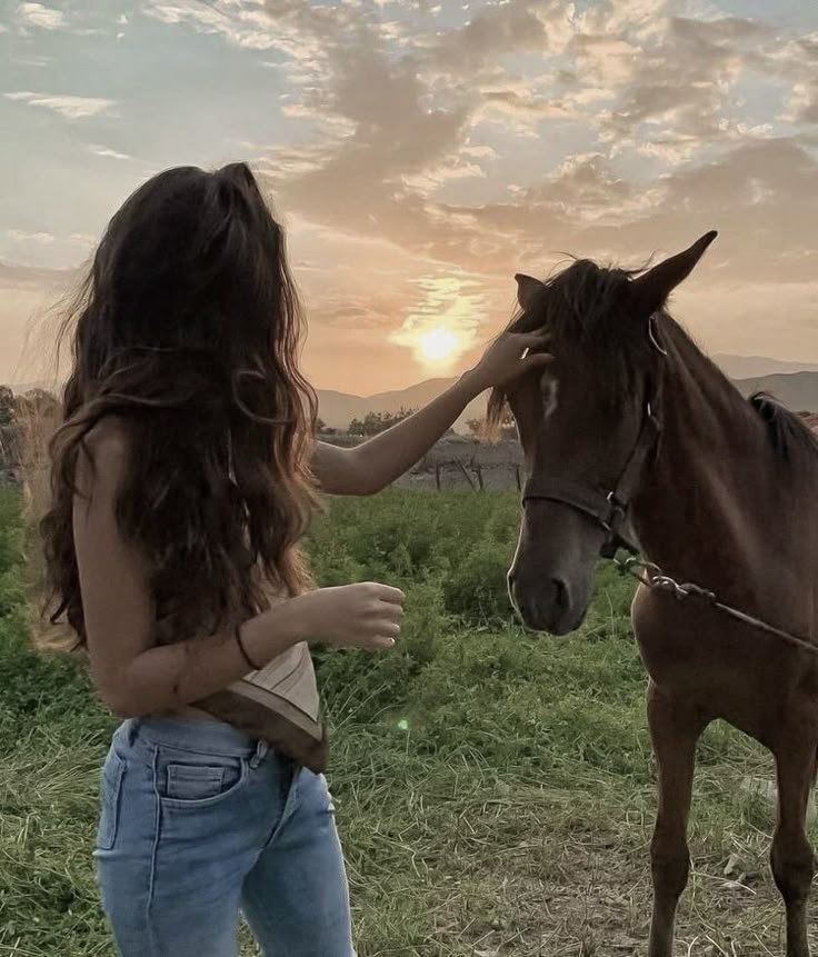 a woman petting a brown horse on the head in a grassy field at sunset