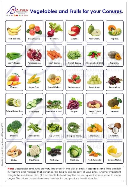 an image of vegetables and fruits for your conurees poster, with the words'veggies and fruits for your conures '