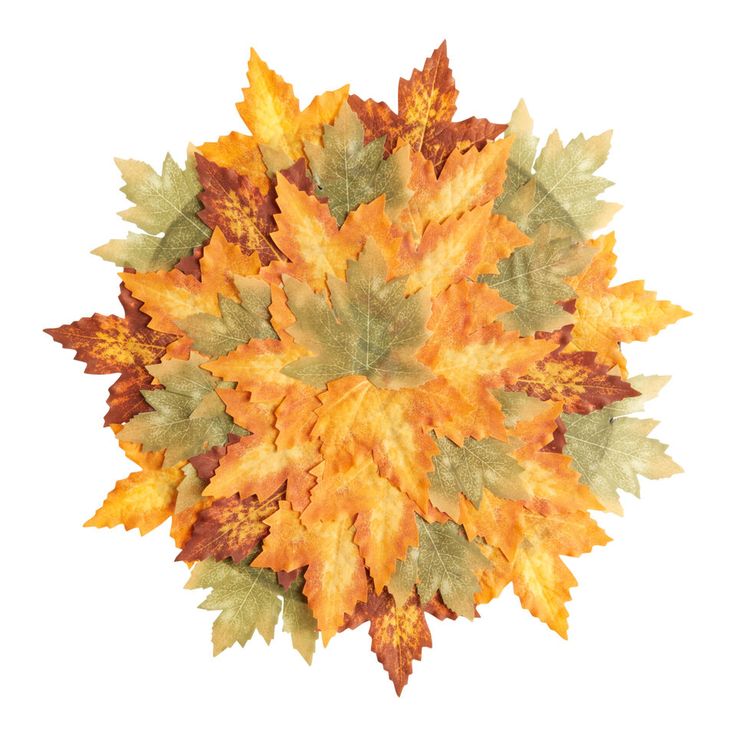 an arrangement of autumn leaves arranged in the shape of a snowflake