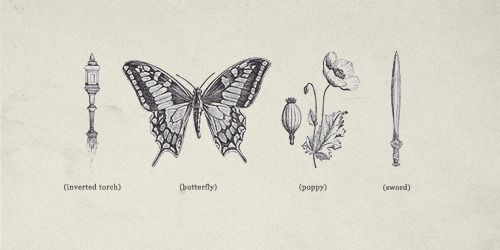 an image of different types of insects