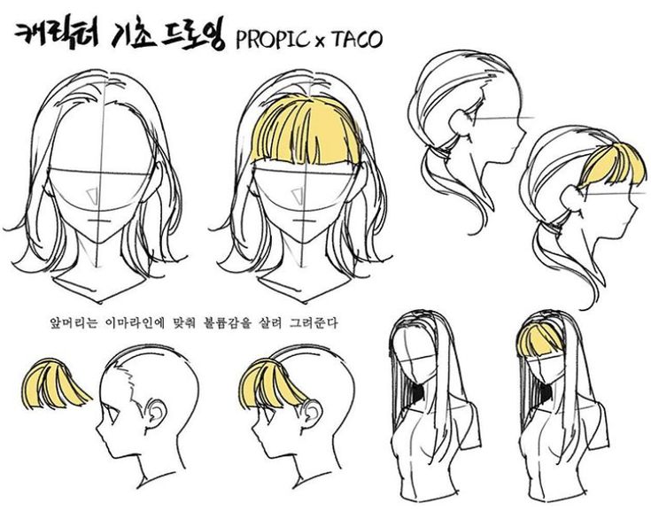 various hairstyles for the face and head in different positions, with text above them