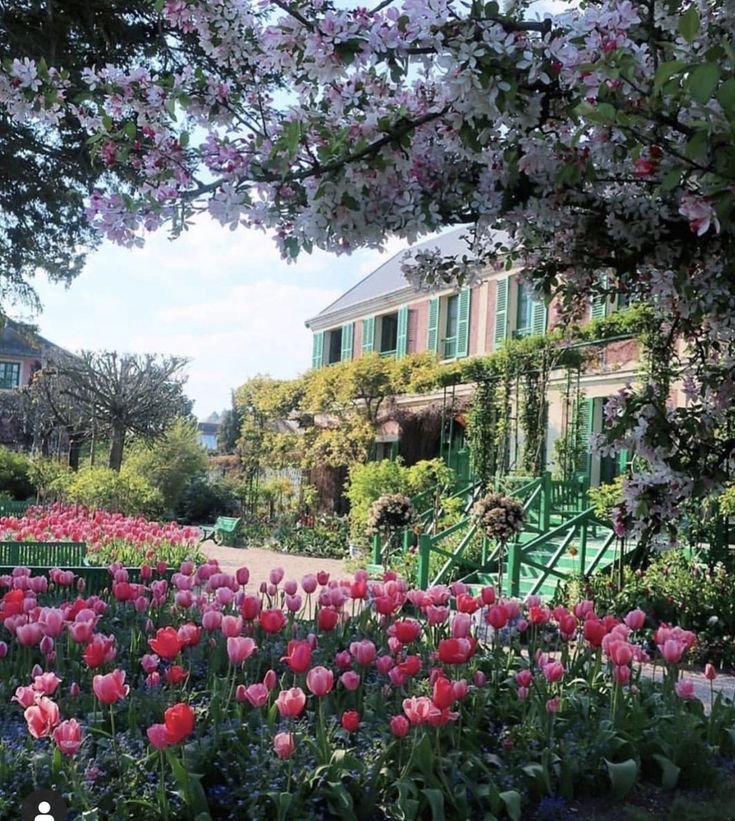 pink and red flowers in front of a house with green shutters on the windows