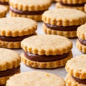 cookies with chocolate frosting and peanut butter on top are lined up in rows, ready to be eaten