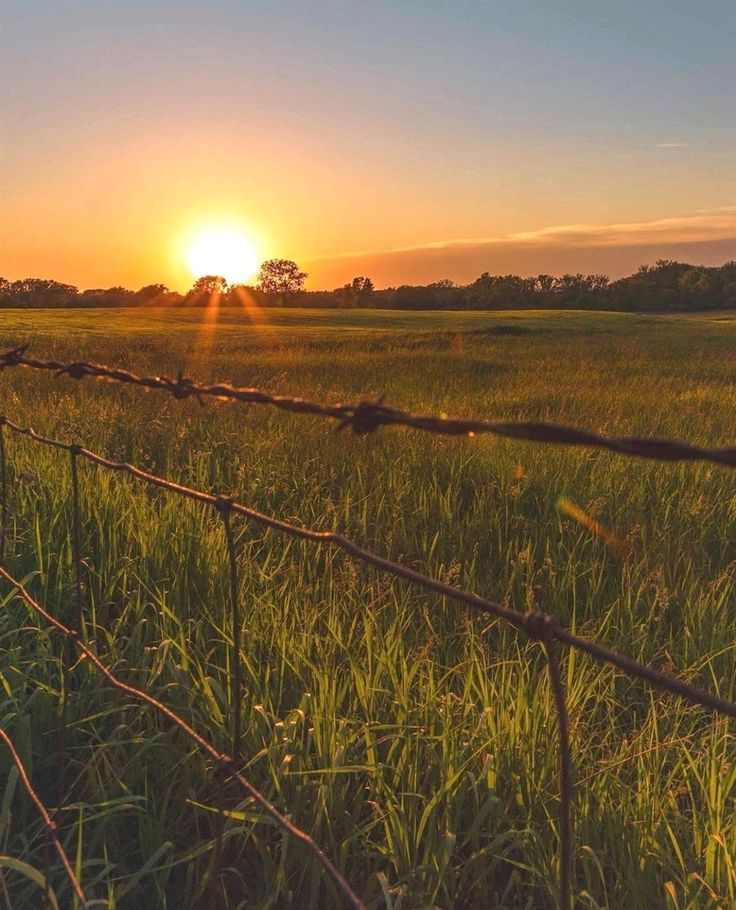 the sun is setting behind a barbed wire fence in an open field with tall grass