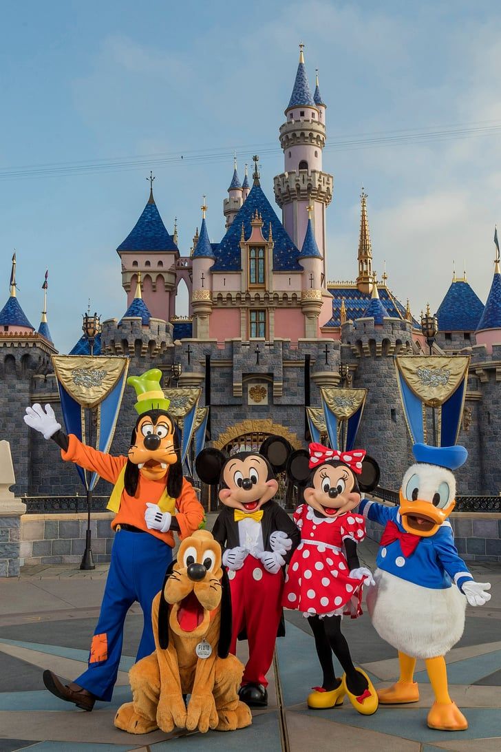 mickey, goofy, donald and friends posing in front of the castle