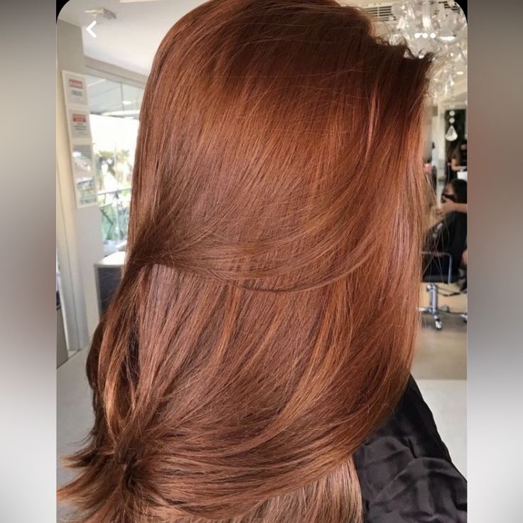 100% Real Remy Human Hair Color: Auburn/Strawberry Blond (Red) Length: 20 Inches Clip-In 150% Density Straight Hair Is Heat Resistant Can Be Styled However You Like Https://Youtu.Be/Tiyi4dmrxow Copper Brown Hair, Red Hair Inspo, Ginger Hair Color, Human Hair Color, Copper Hair Color, Hair Color Auburn, Auburn Hair, Red Hair Color, Hair Inspiration Color