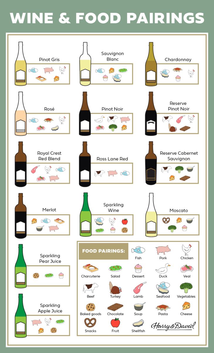 the wine and food pairings poster is shown in green, with an image of different types