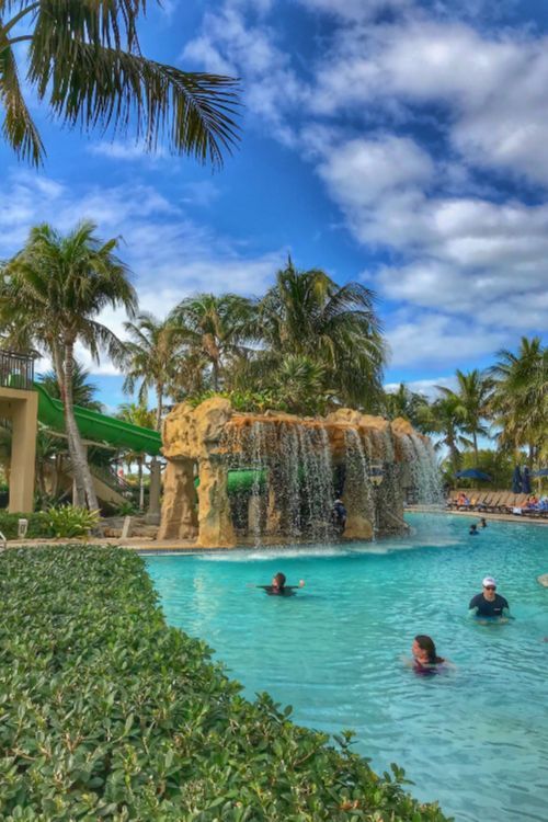 people are swimming in the pool at disney's animal kingdom