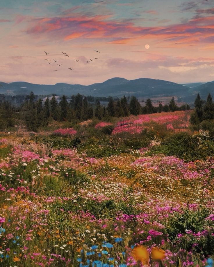 a field full of wildflowers and birds flying in the sky with mountains in the background