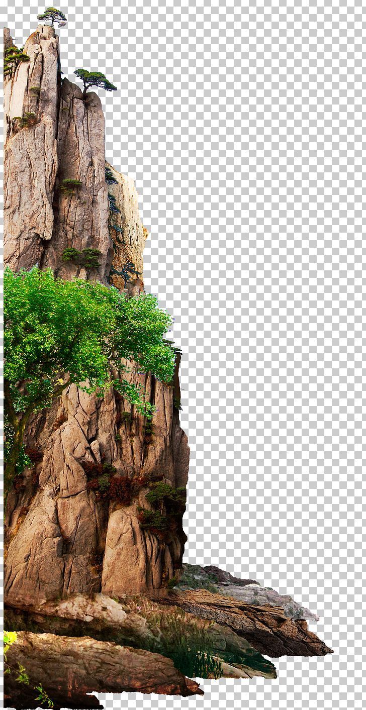 a rock formation with trees growing out of it, against a white sky background png clipart