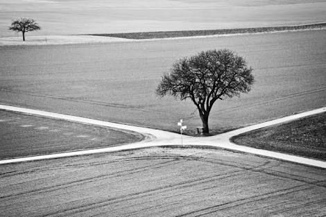 a lone tree stands alone in the middle of a large open field with an empty road