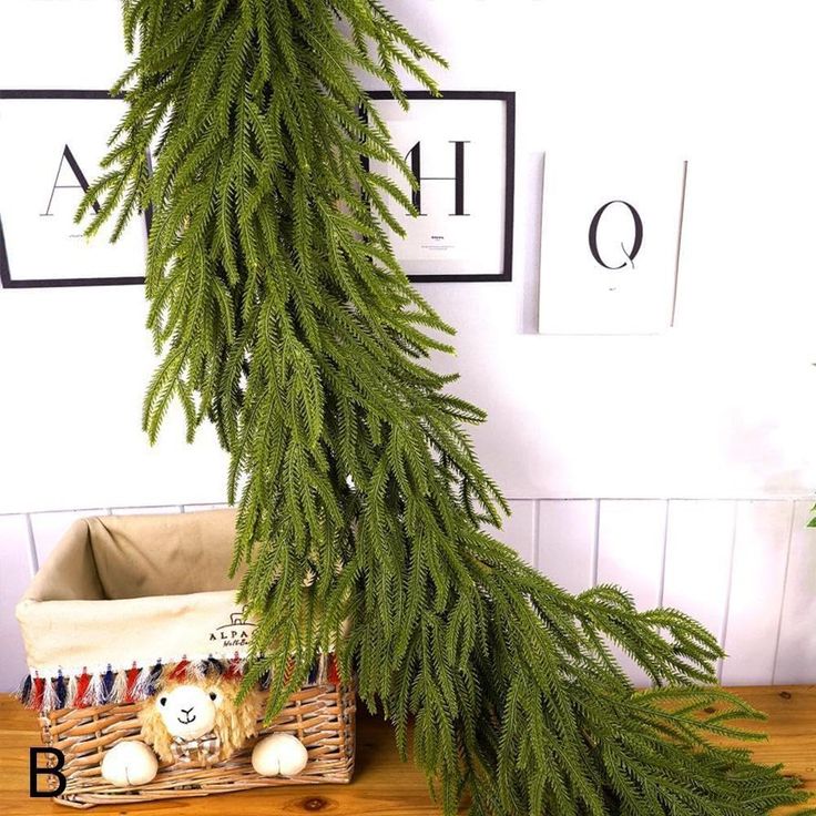 a pine branch hanging from the side of a wall next to a basket filled with balls