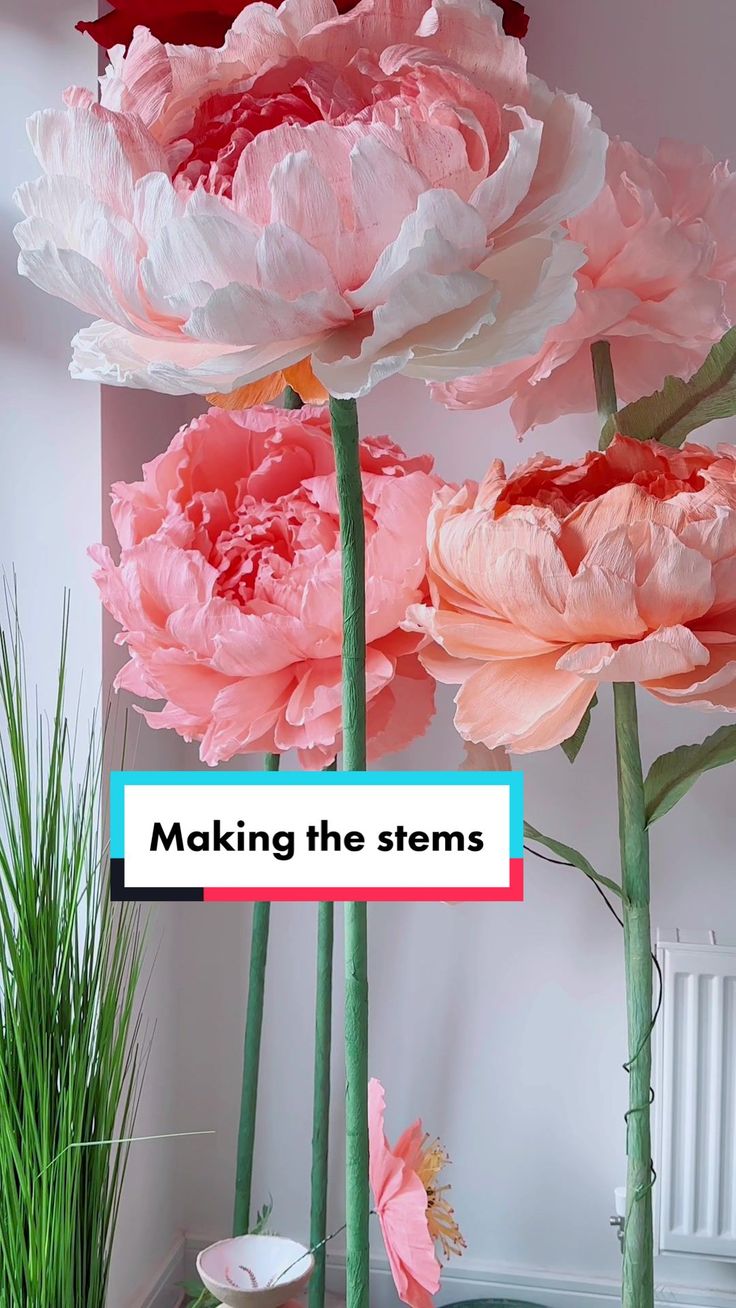 three large pink and white flowers in a vase with the words making the stems on it