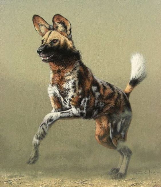 a painting of a hyena jumping in the air with it's mouth open