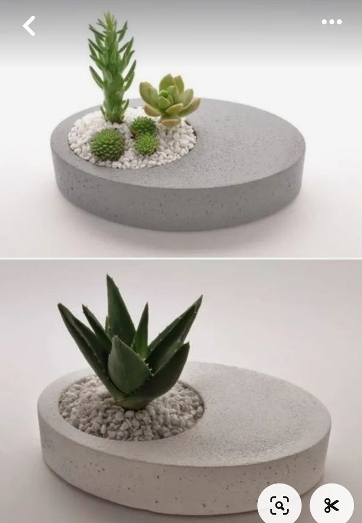 two pictures of different plants in concretes, one with succulents and the other with rocks