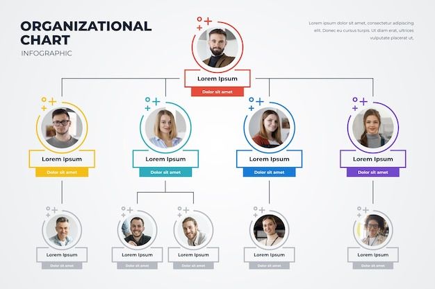 the organizational chart is shown with five people in different colors and sizes, all connected to each other