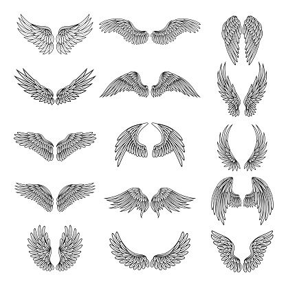 the different types of wings in black and white royalty photo - illustration, clipping