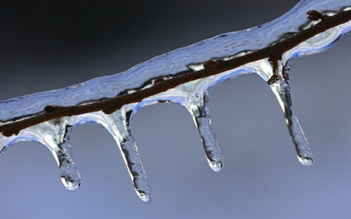 icicles hanging from a tree branch in the cold weather with blue sky behind them