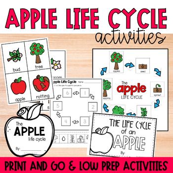 an apple life cycle activity for kids to practice the alphabet and go on prep activities