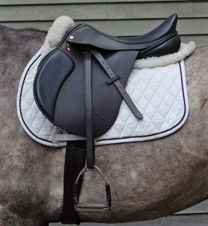 a close up of a horse wearing a saddle