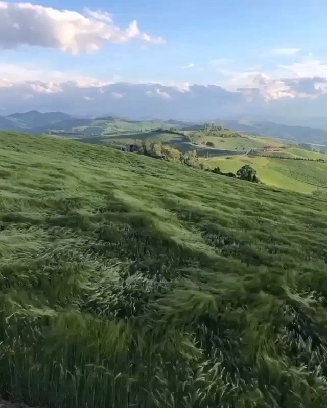 an aerial view of the rolling hills and valleys with grass blowing in the foreground