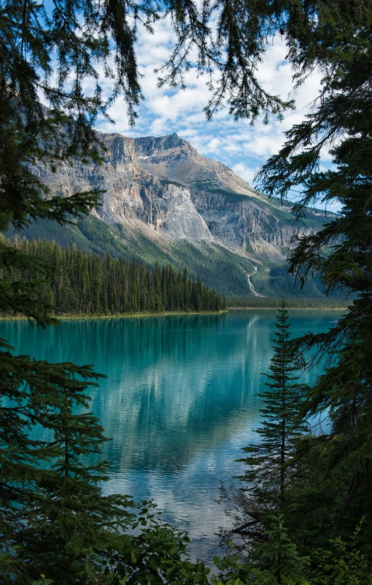 a lake surrounded by trees with mountains in the background