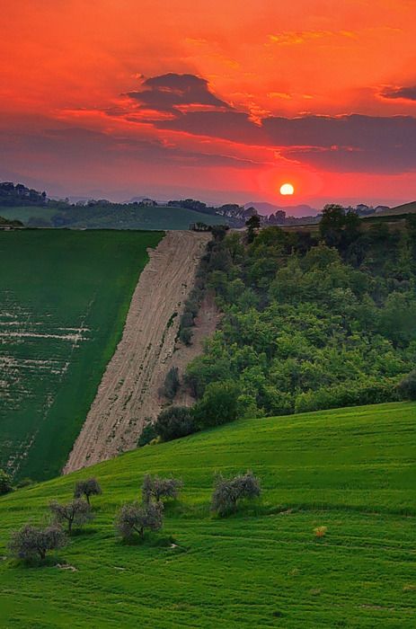 the sun is setting over a green field with trees and bushes in front of it