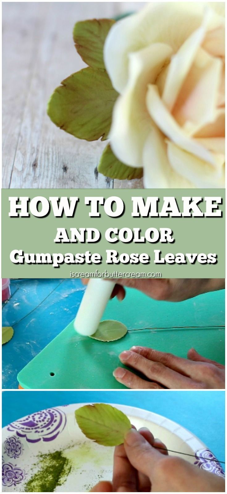 how to make and color gumpaste rose leaves