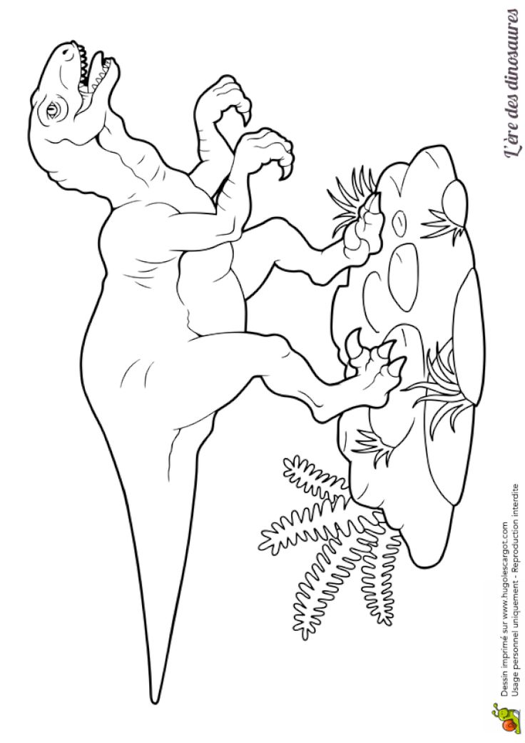 Coloriage Veliciraptor 547 〽️ Festa Jurassic Park, Dinosaur Quilt, Dinosaur Dinosaur, Dinosaur Printables, Boy Coloring, Dinosaur Images, Dinosaur Drawing, Dinosaur Activities, Spring Coloring Pages